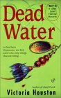 Dead Water book cover